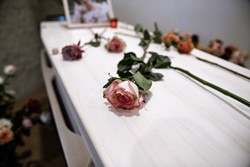 Fotografie op 1 dag (max. 3 locaties)